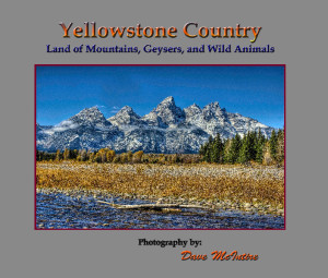 yellowstone county